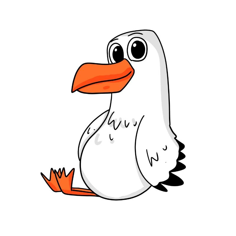 Möwe