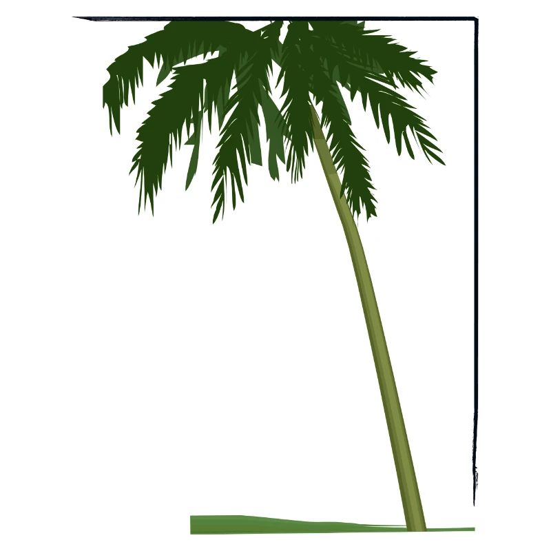Palm tree in frame | palm tree in frame