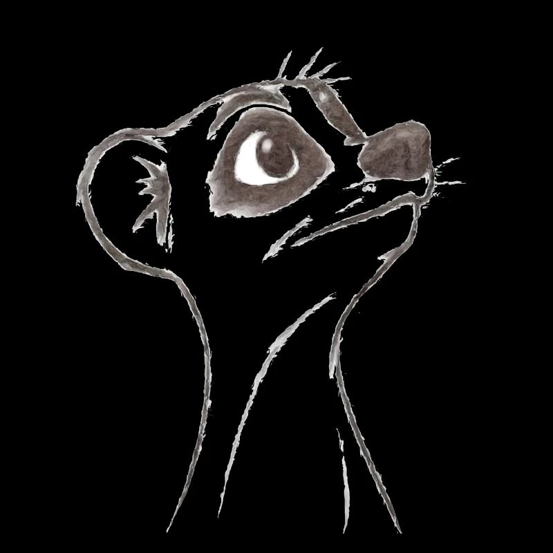 Suricate d’interrogation