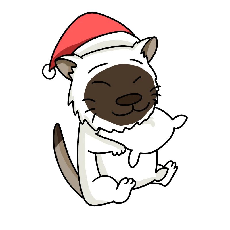 Chat, Mignon, Birman, Chat, Fatigué, Noël