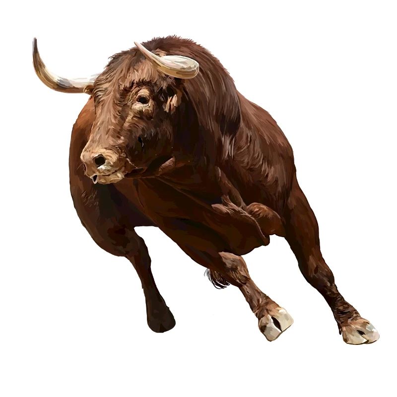 Bull