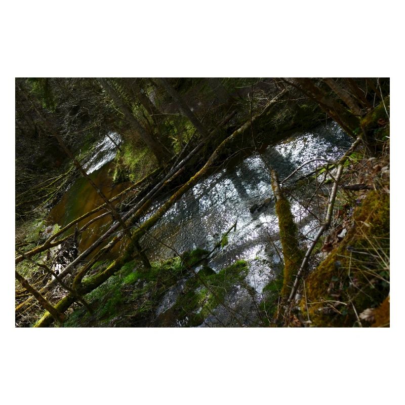 Ancient Canyon Rivers