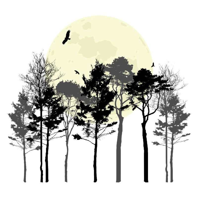 Conception de silhouette de la forêt céleste