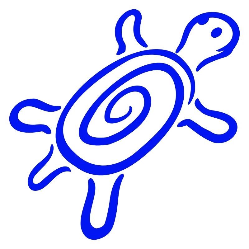 turtle spiral turtle shell pattern cute