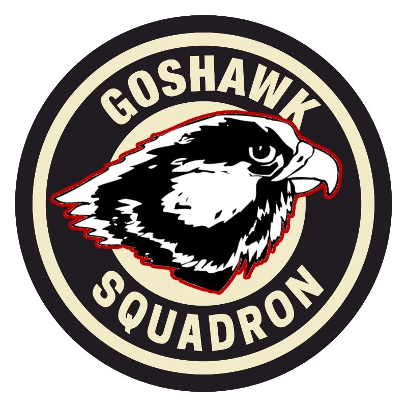 Conception de l’insigne de l’escadron Goshawk