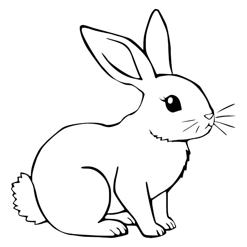 Bunny Rabbit T-shirt Gift