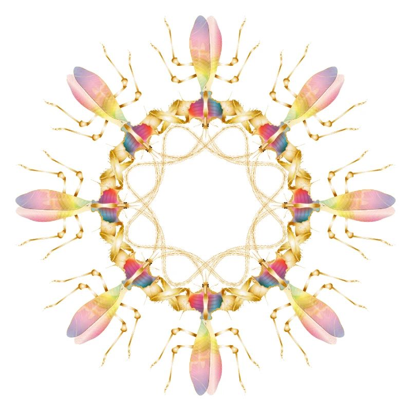 Insecte de fleur de diable tropical comme ornement