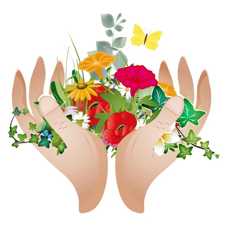 Two protective hands holding many flowers