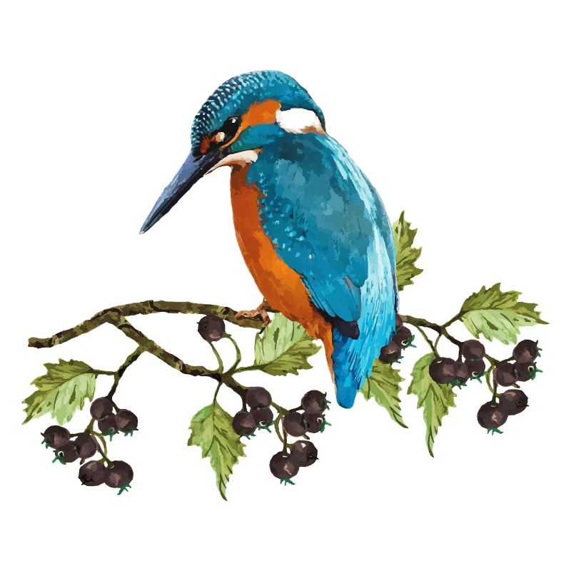Bunter Vogel