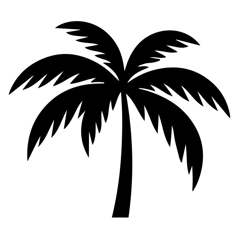 Silhouette de palmier