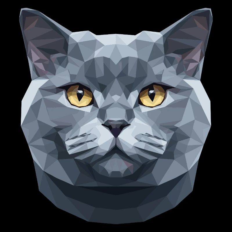 British Shorthair Chat BKH Chat Maman Chats Mignons