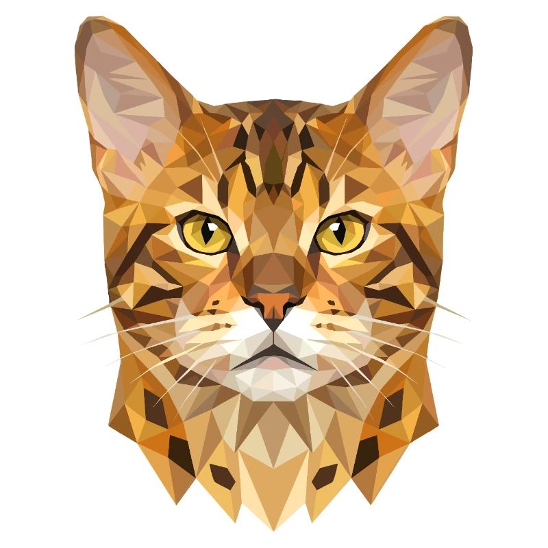 Chat léopard du Bengale, chat léopard, léopardette, chats du Bengale,