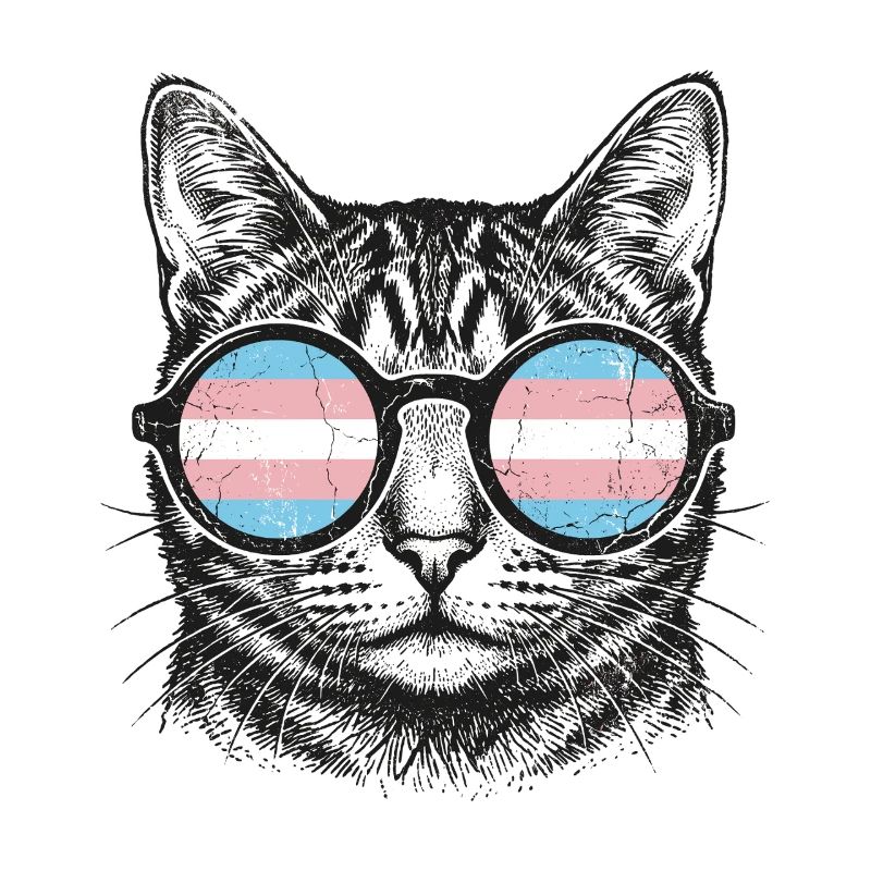 LGBT-Pride-Monat – Trans-Pride-Katze