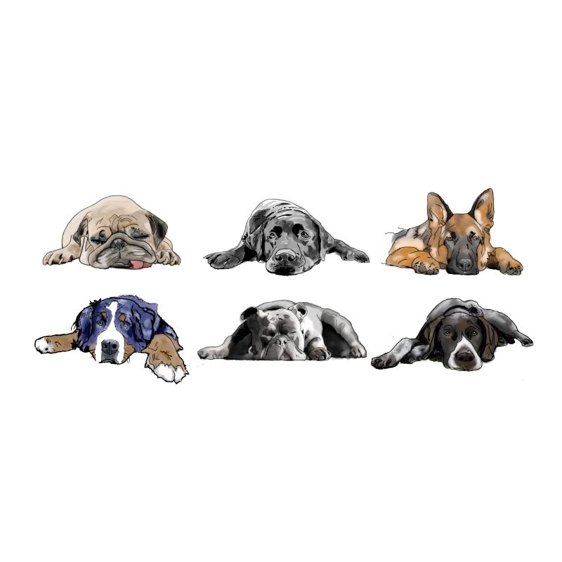 Mops Labrador Schäferhund Berner Bulldog Pointer