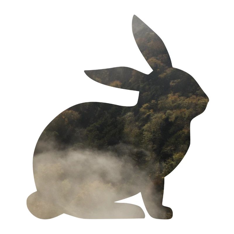 Lepre in silhouette con foresta e nebbia