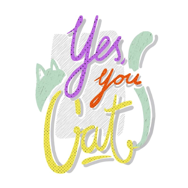 oui, vous chat!