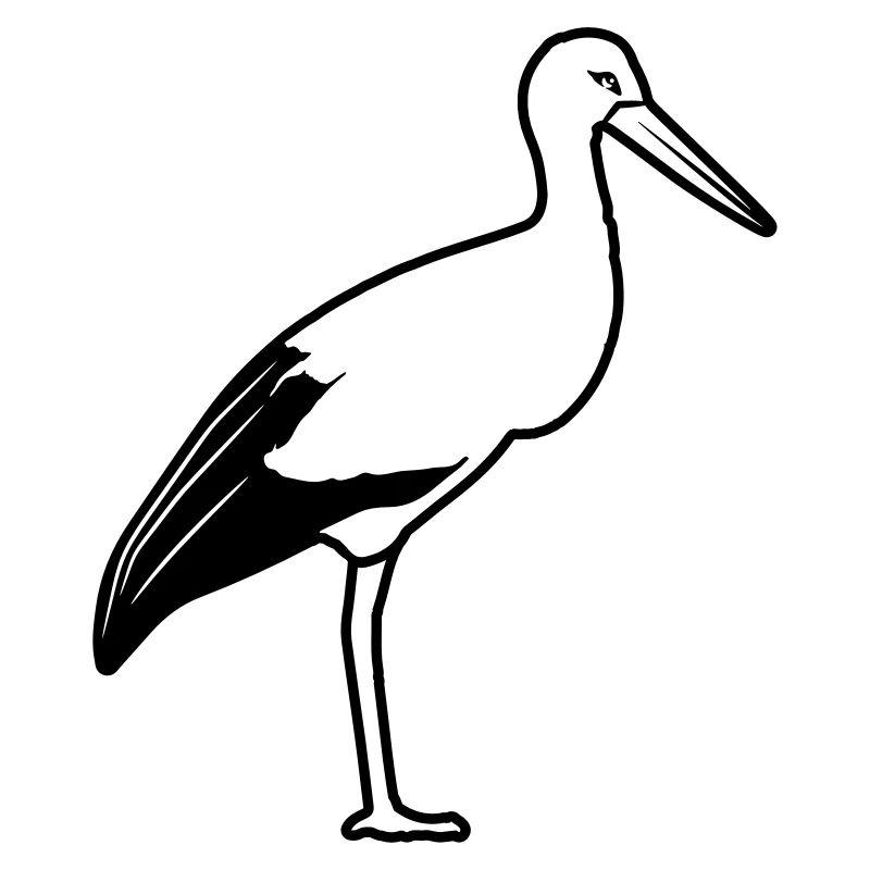 Stork