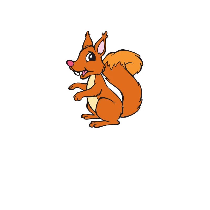 Eichhörnchen - Eichhorn