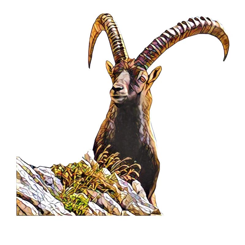 Steinbock