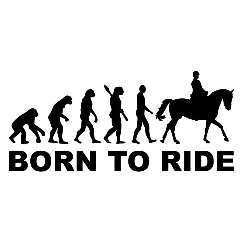 Évolution aller à cheval