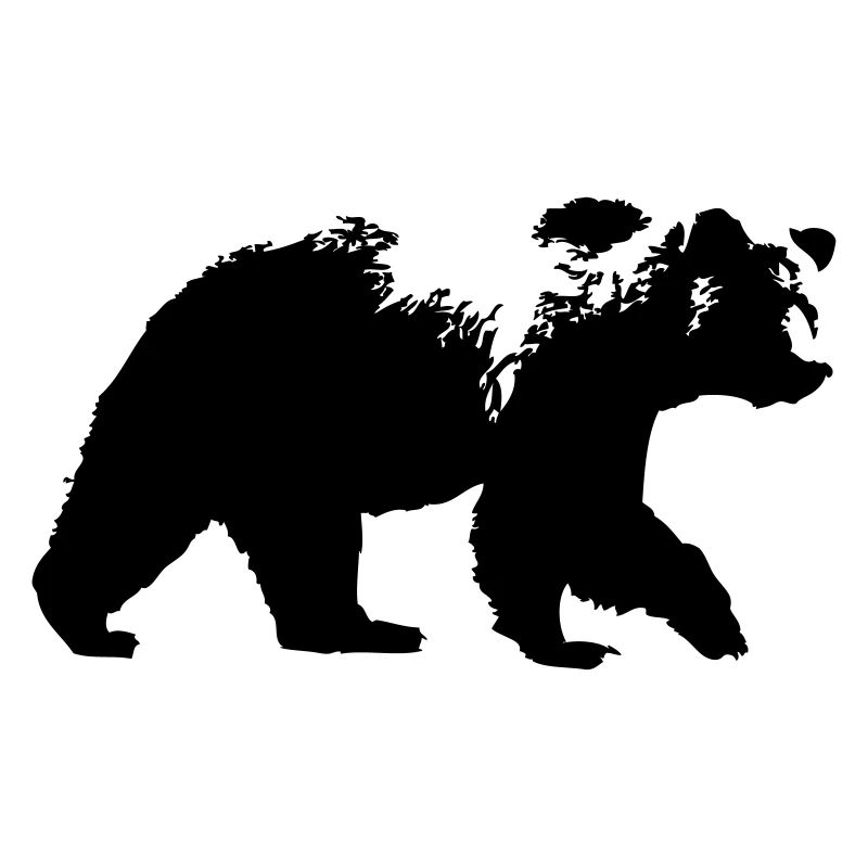 Grizzly Bear- Bär