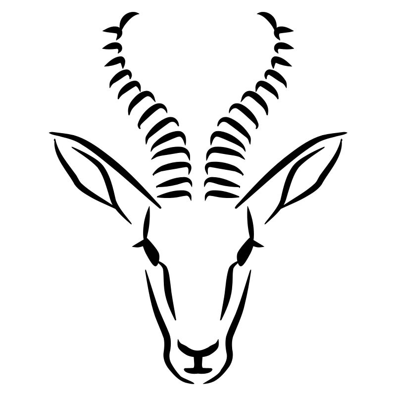 Springbock