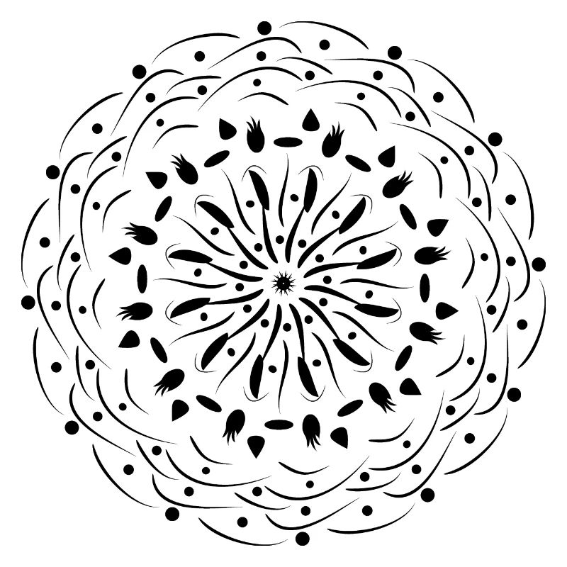 Rotating Flower in Black Pattern Gift Idea