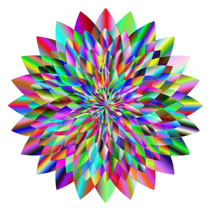 modèle circulaire