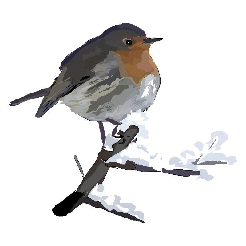 Rotkehlchen Winter Vogel Geschenk Schnee kalt Idee