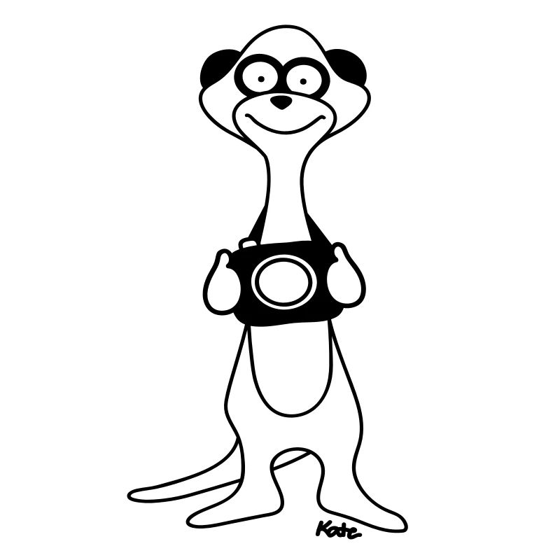 Erdmännchen