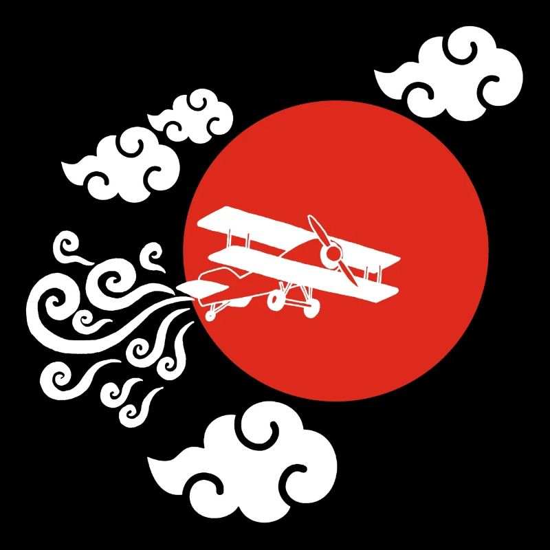 Avion blanc et soleil rouge