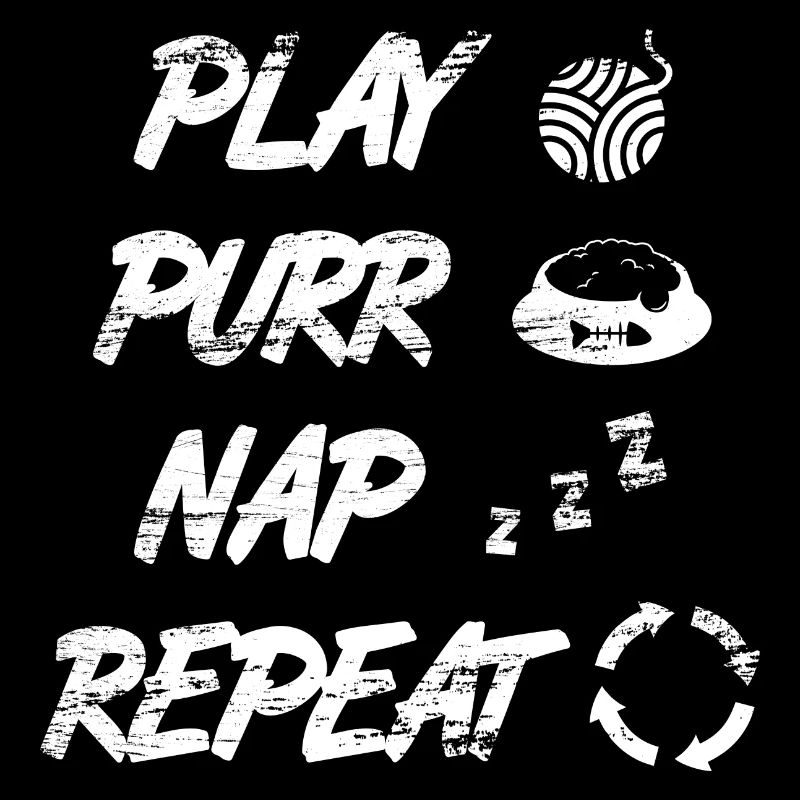 Routine quotidienne du chat