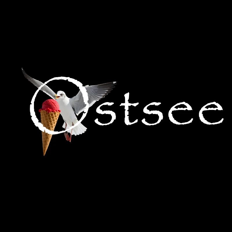 Ostsee Möwe Eisräuber Raubvogel