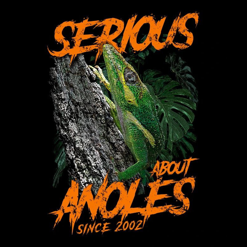 Seit 2002 ernsthaft über den kubanischen Ritter Anolis