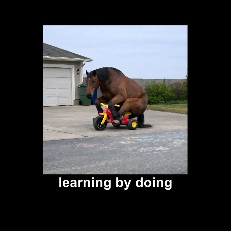 Learning By Doing Horse Meme Funny Humor