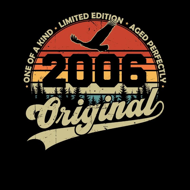 Original 2006 Vintage Retro Birthday Gift
