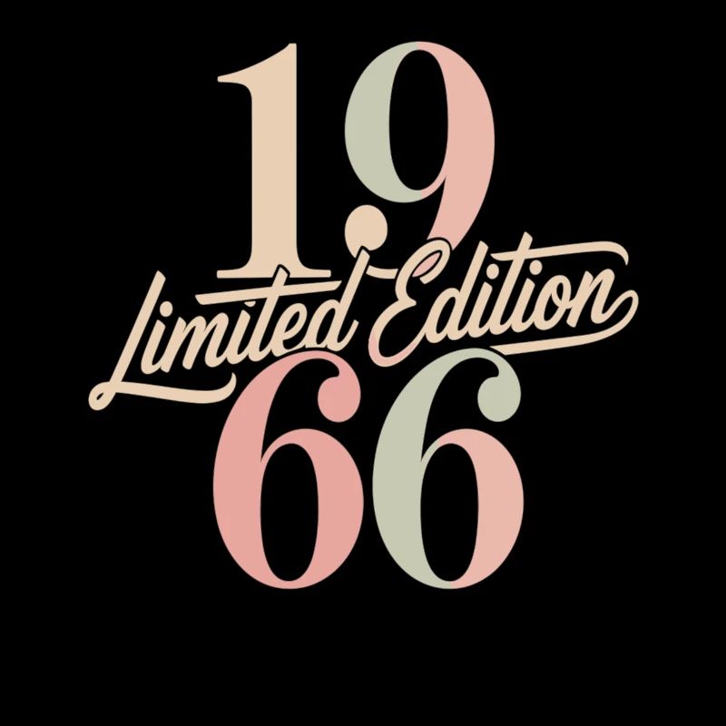 Vintage 1966 édition limitée rétro