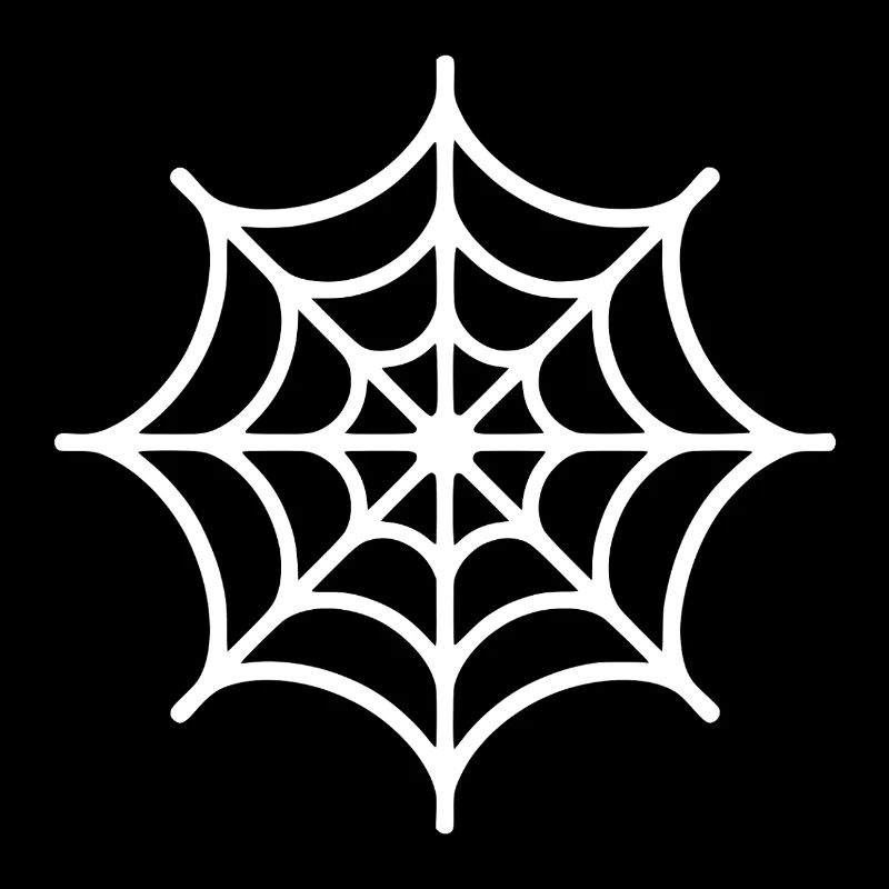 Spider Web Spider