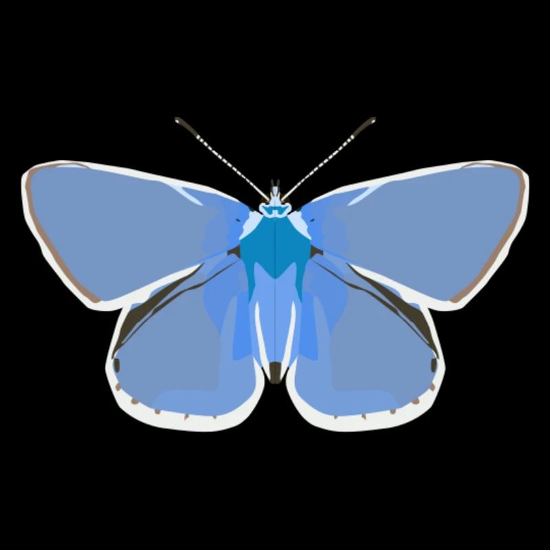 Schmetterlinge: Der gemeine Bläuling