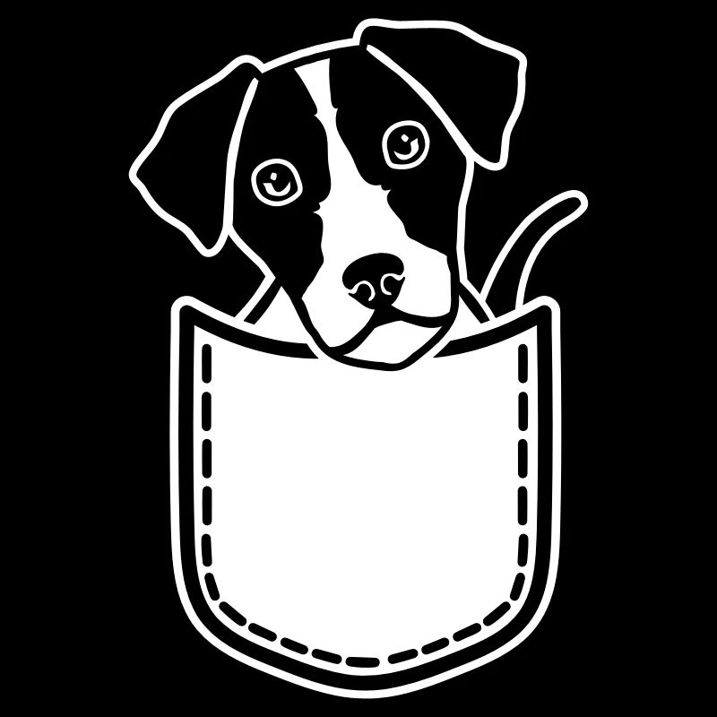 Jack Russell Terrier