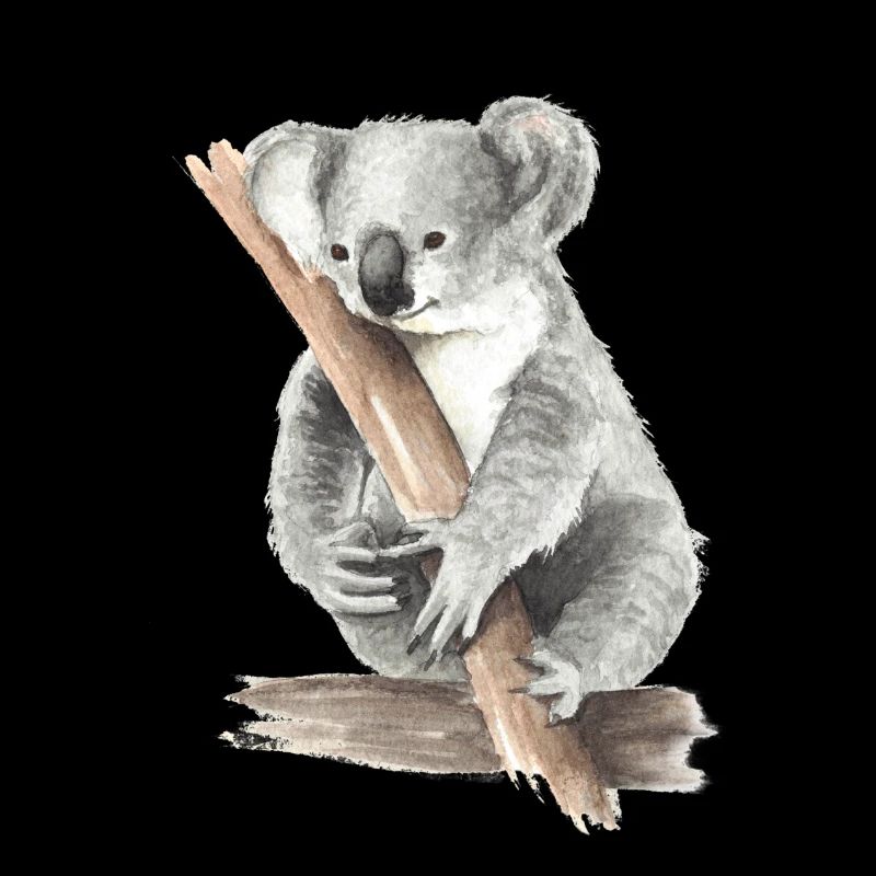 Koala