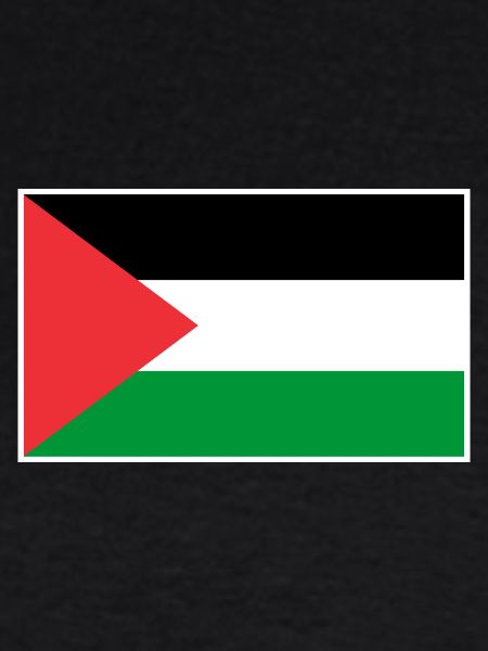 Palestine Flag