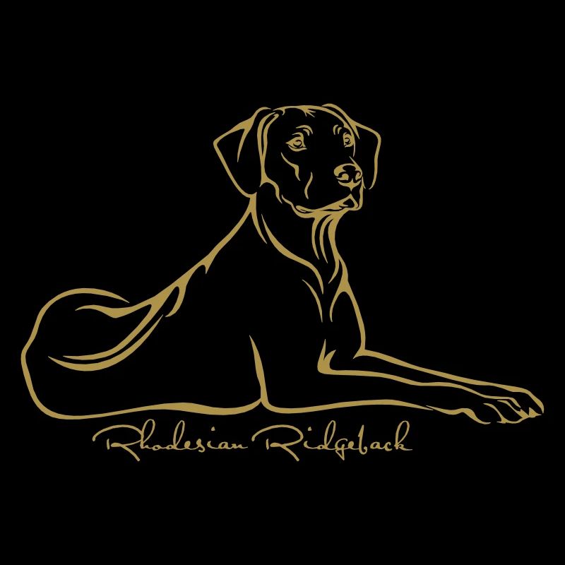 Rhodesian Ridgeback liegend mit Ridge