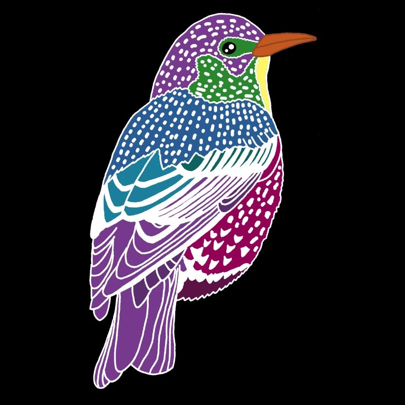 Oiseau multicolore