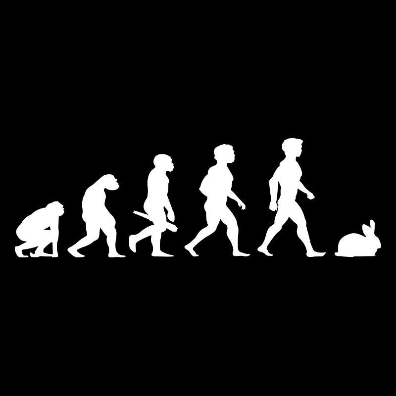 Evolution rabbit rabbits rabbit bunny rodents