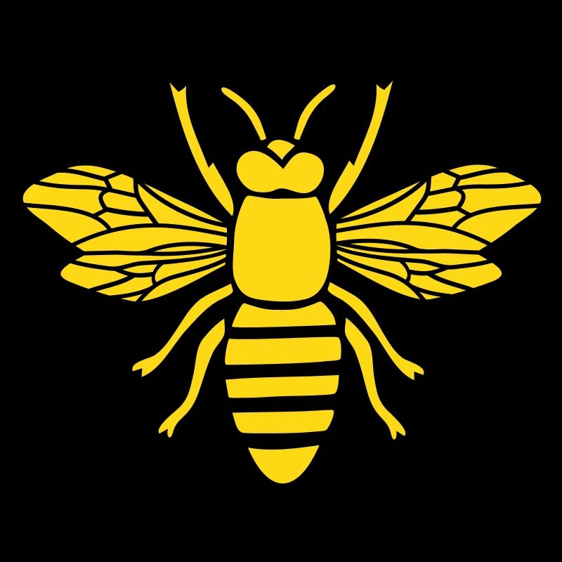 bee honey bumble bee honeycomb beekeeper wasp