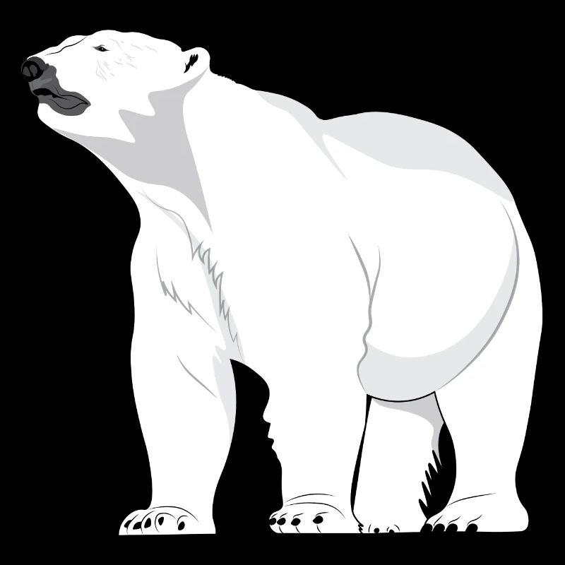 Polar bear polar bear north pole
