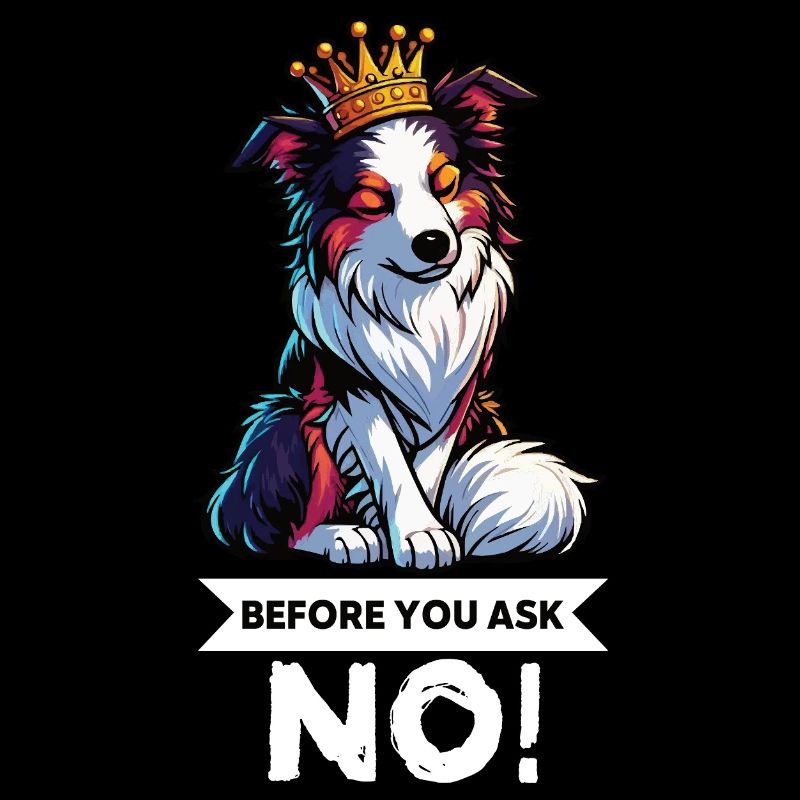 Before You Ask Australian Shepherd Aussie Aussies