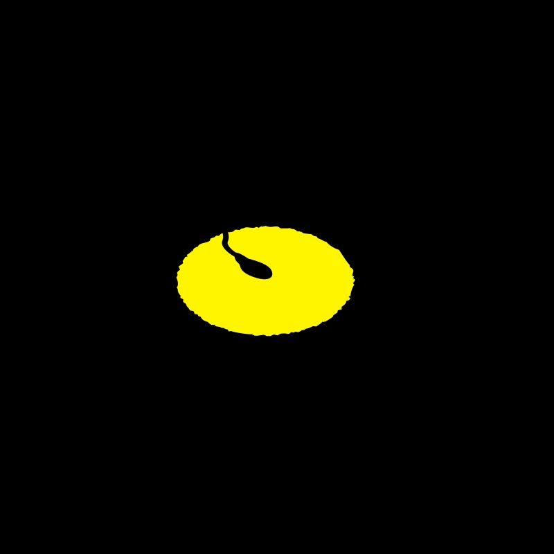 ovum and sperm cells