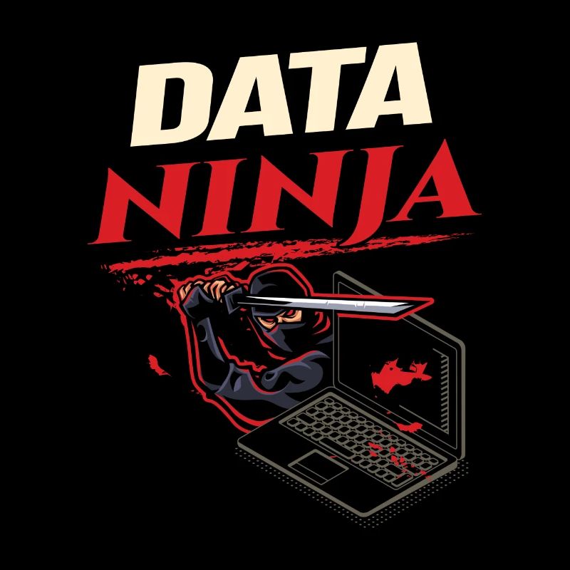 Data Ninja computer programming coder